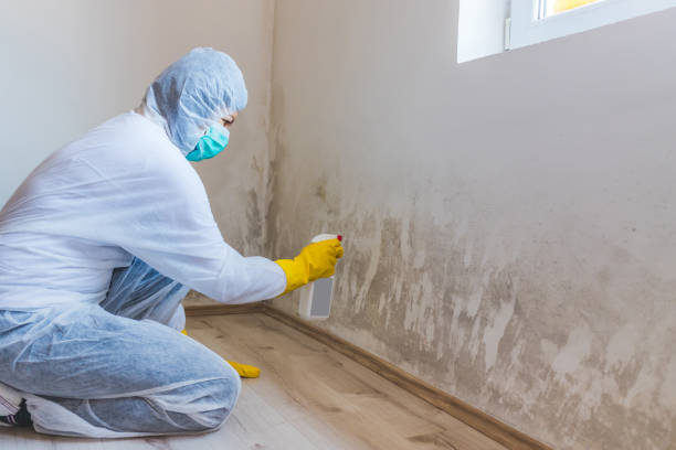 Hvac And Air Duct Mold Remediation inspection of HVAC system in Yacolt